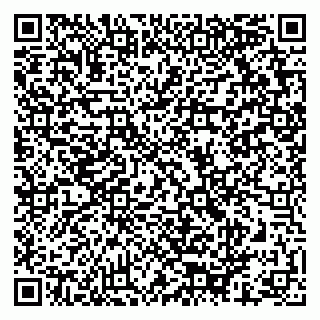 vCard 79624119503