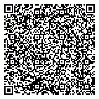vCard 79624119552