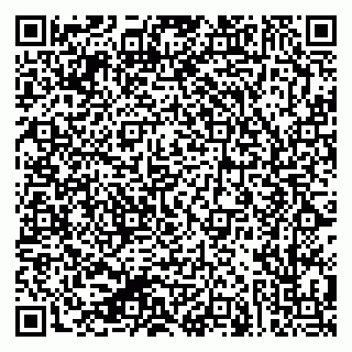vCard 79624123733