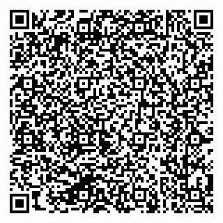 vCard 79624125331