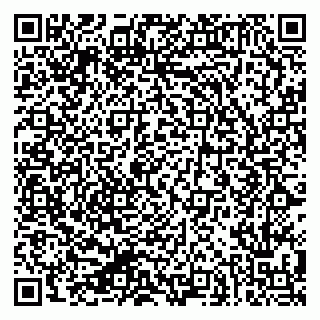 vCard 79624127013