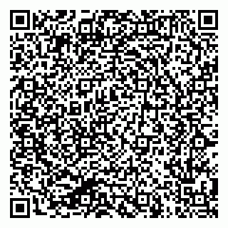 vCard 79624129003