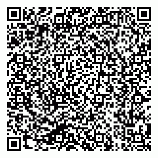 vCard 79624129073