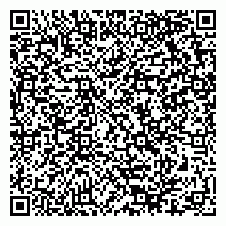 vCard 79624129085