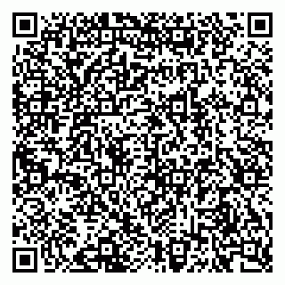 vCard 79624129331