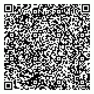 vCard 79624129503