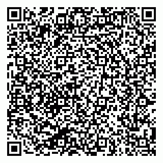 vCard 79624129807