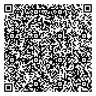 vCard 79624130331