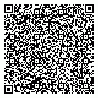 vCard 79624132001