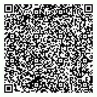 vCard 79624133131