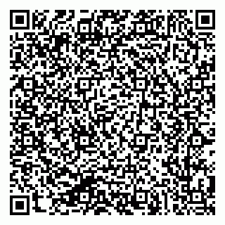 vCard 79624133201
