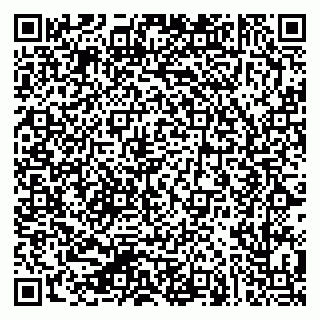 vCard 79624133370