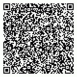 vCard 79624134331