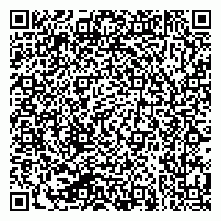 vCard 79624135331