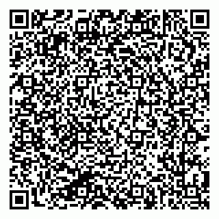 vCard 79624136381
