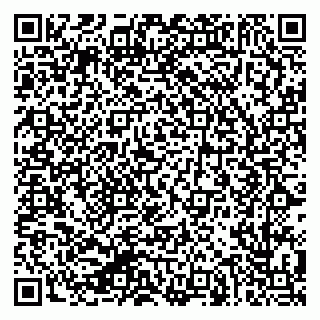 vCard 79624137294