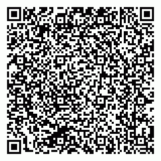 vCard 79624137303