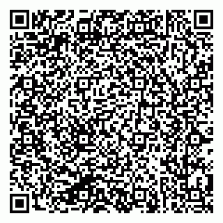 vCard 79624137331