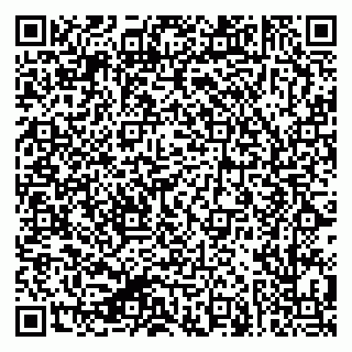 vCard 79624137335