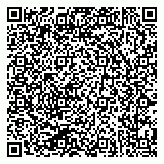 vCard 79624137337