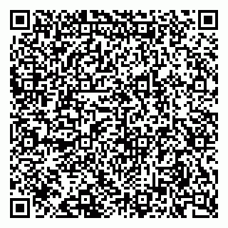 vCard 79624138151