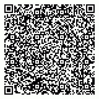 vCard 79624138303
