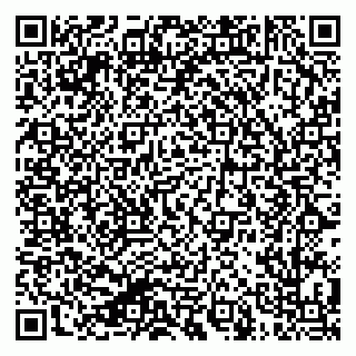vCard 79624138317