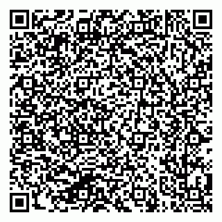 vCard 79624138331