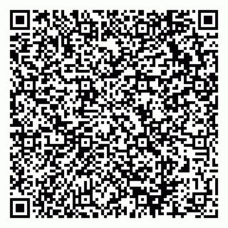 vCard 79624138337