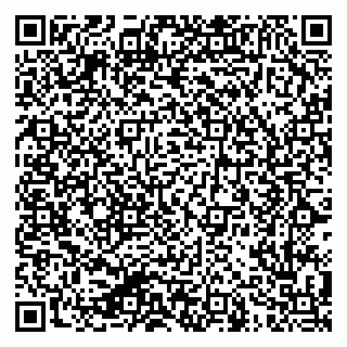vCard 79624138409