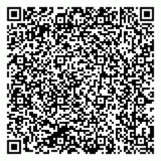 vCard 79624139331