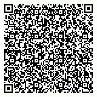 vCard 79624180331