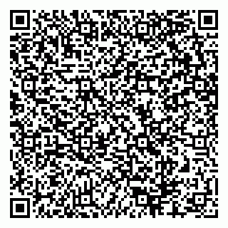 vCard 79624200539