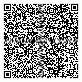 vCard 79624201331