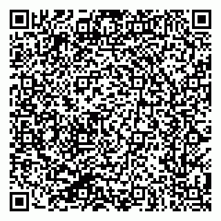 vCard 79624201507