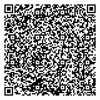 vCard 79624201581