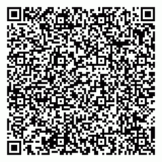 vCard 79625016384