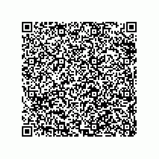 vCard 79625040379