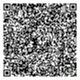 vCard 79625480063