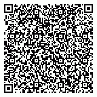 vCard 79625480304