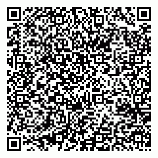 vCard 79625480331
