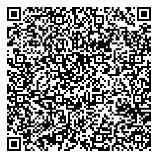 vCard 79625480381