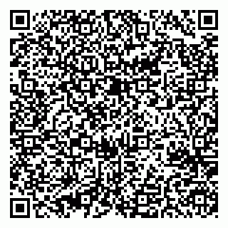 vCard 79625480384