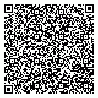 vCard 79625980288