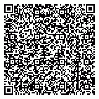 vCard 79626540313