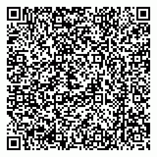 vCard 79626540331