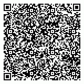 vCard 79626540334
