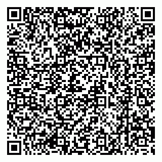 vCard 79626540337
