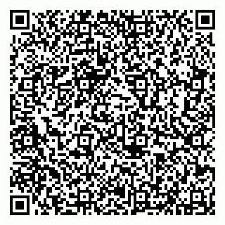 vCard 79626730329