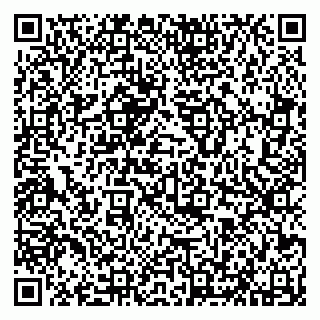vCard 79626730331